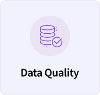 data quality