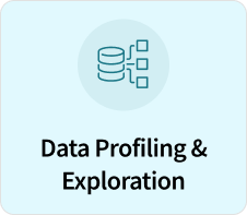 data Profiling and Exploration